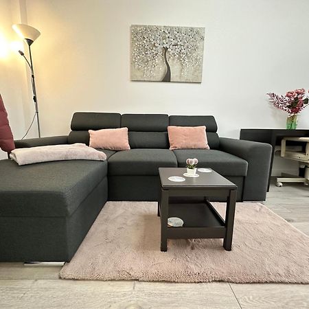 Angela Nordic Apartment. Suceava Buitenkant foto