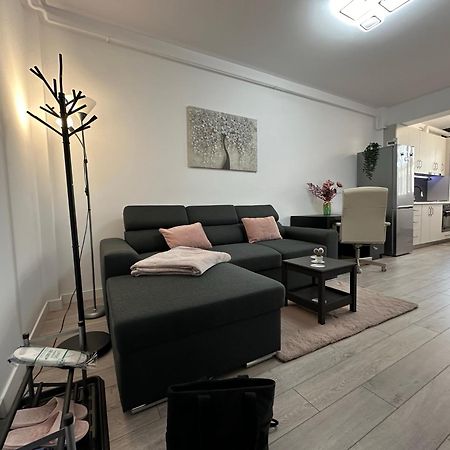 Angela Nordic Apartment. Suceava Buitenkant foto
