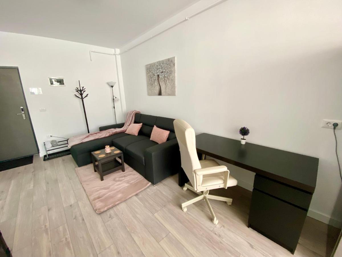Angela Nordic Apartment. Suceava Buitenkant foto