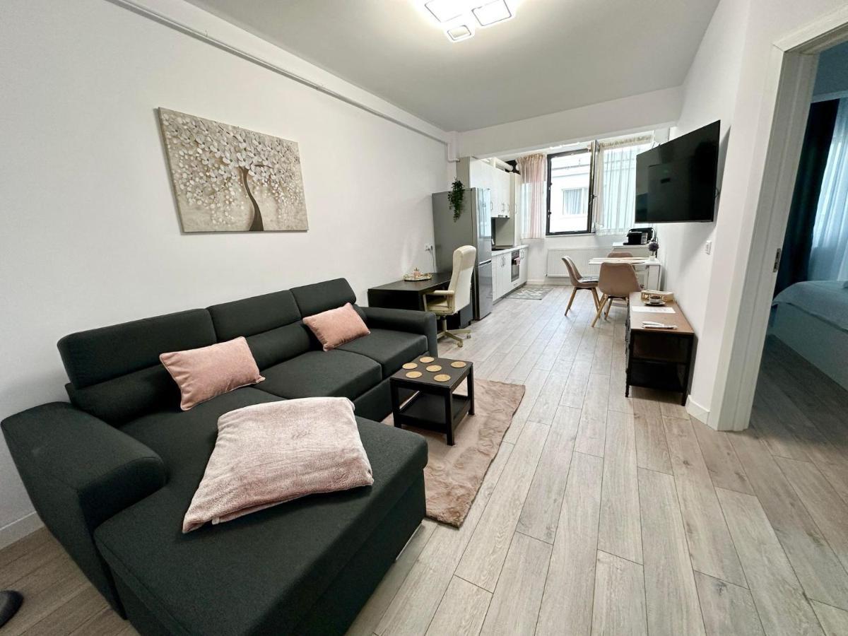 Angela Nordic Apartment. Suceava Buitenkant foto