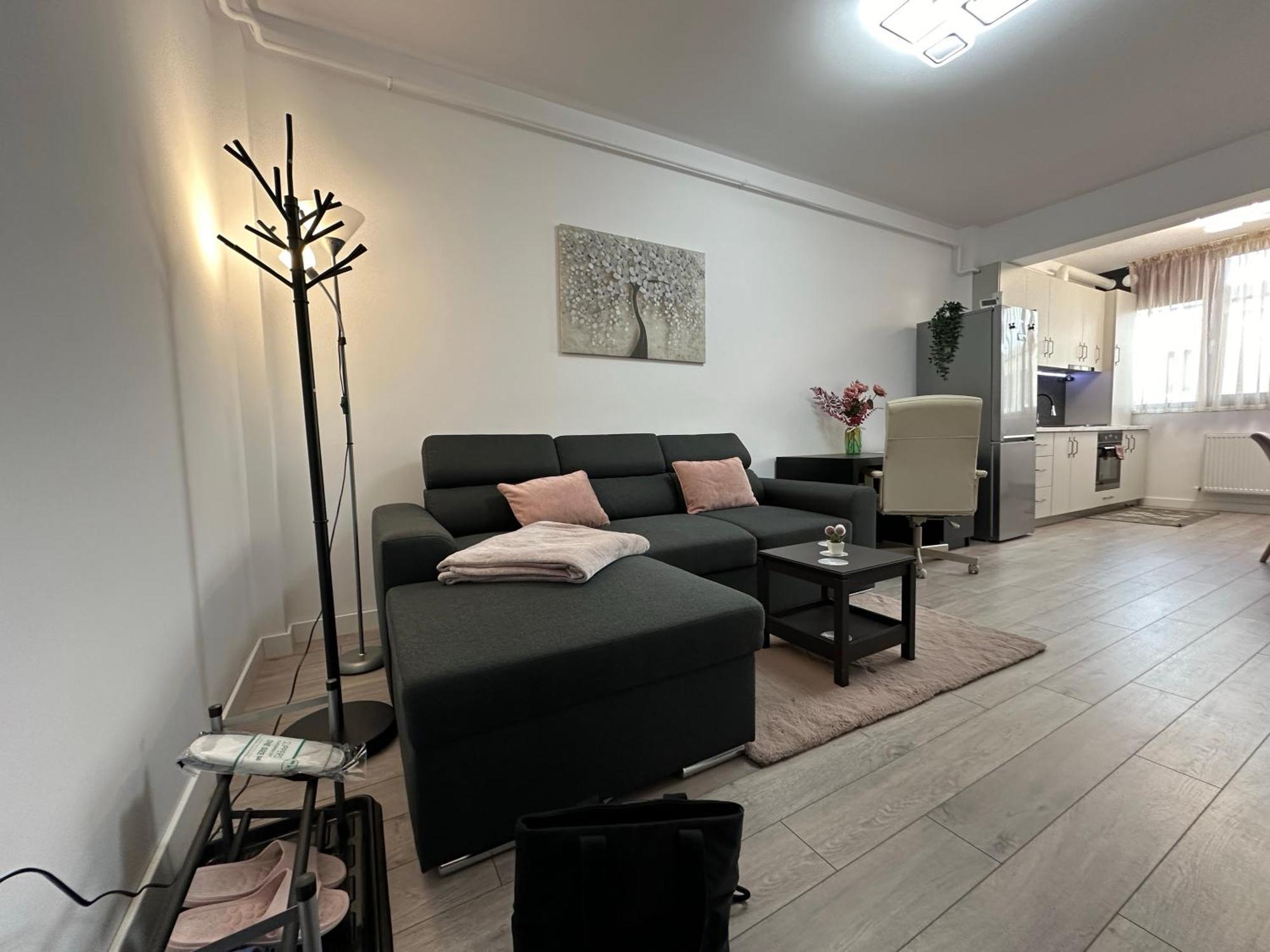 Angela Nordic Apartment. Suceava Buitenkant foto