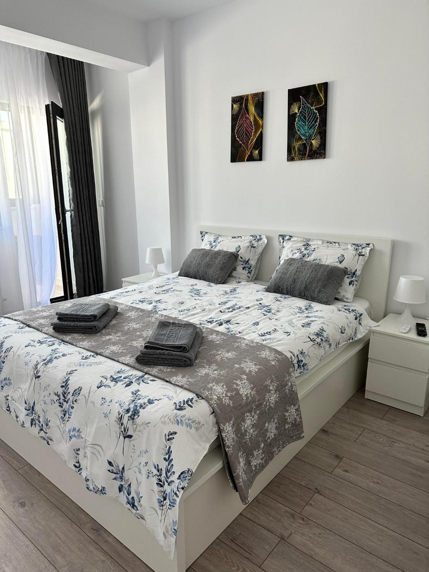 Angela Nordic Apartment. Suceava Buitenkant foto